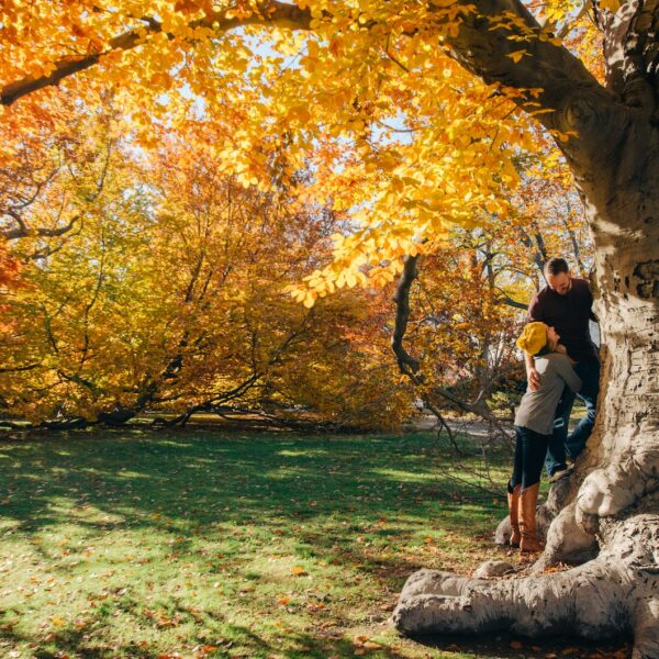 man and woman near yellow-petaled flower tree