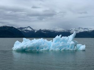 Funding Strategies to Boost High-Impact Climate Innovations