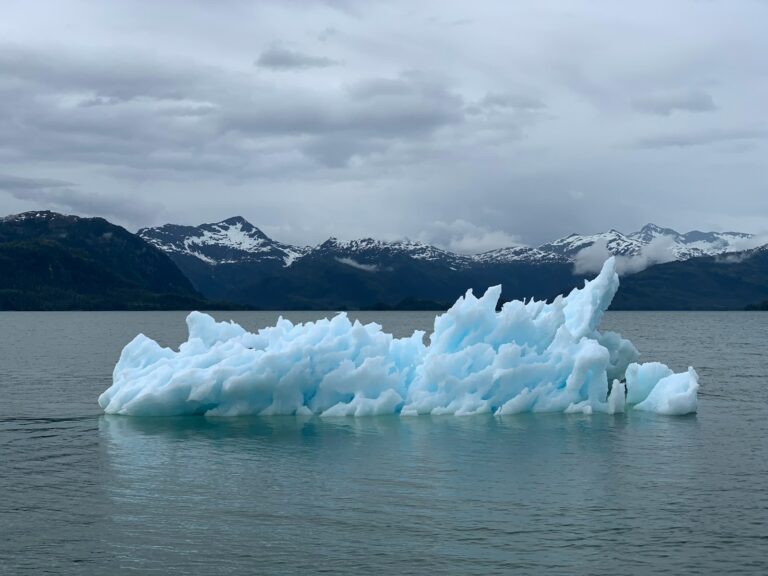 Funding Strategies to Boost High-Impact Climate Innovations
