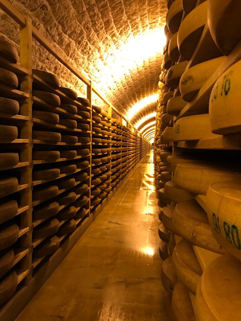 Rows of cheese aging on wooden shelves in a dimly lit storage room.