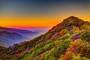 Mind Wide Open: Consciousness and the Power of Self- Awareness for Men