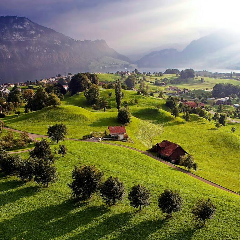 Living with the Land: How to Start a Farm in Europe