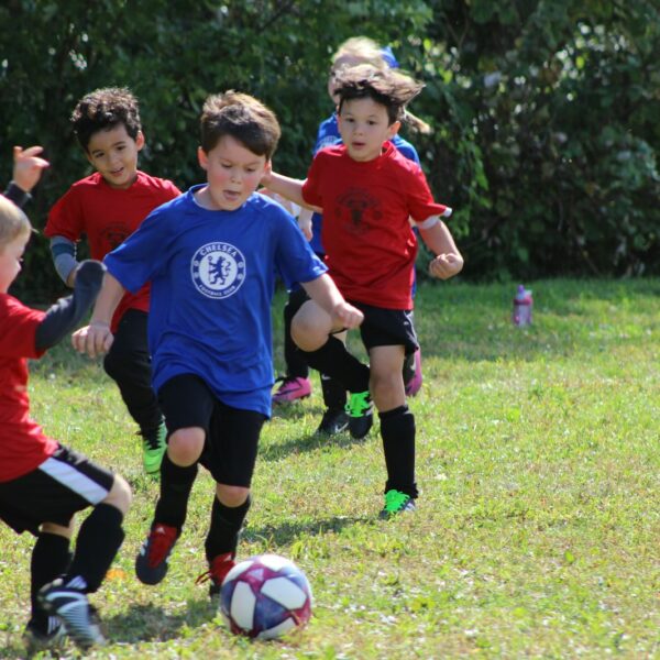 The New Status Sport: Why High-Achievers Are Sending Their Children to Cheer Athletics St. Louis