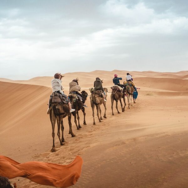several people riding camels on desert during daytime